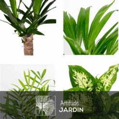 Truffaut -Truffaut 21f66d0f51e0ac05